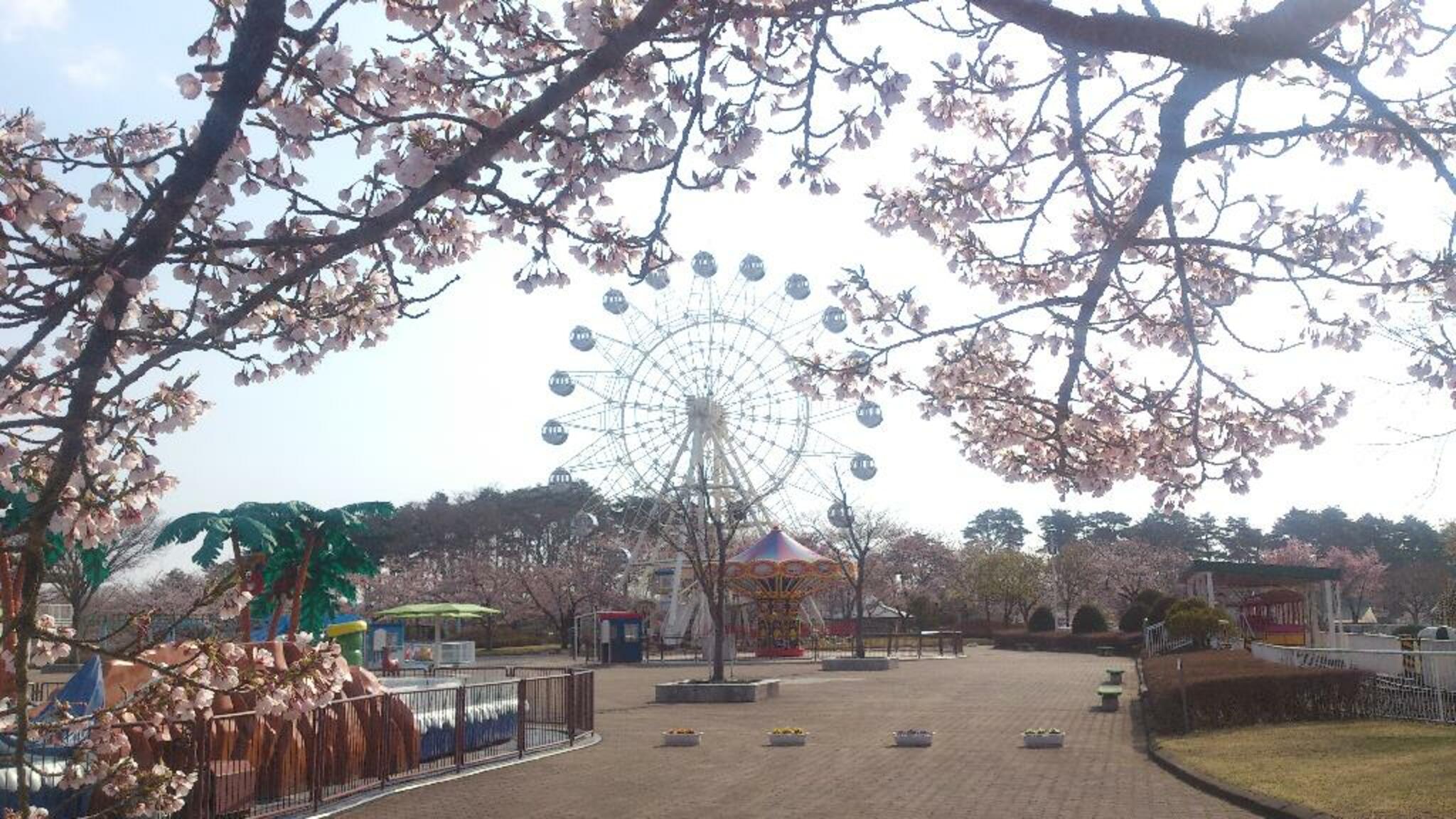 八戸公園(植物園)の代表写真4