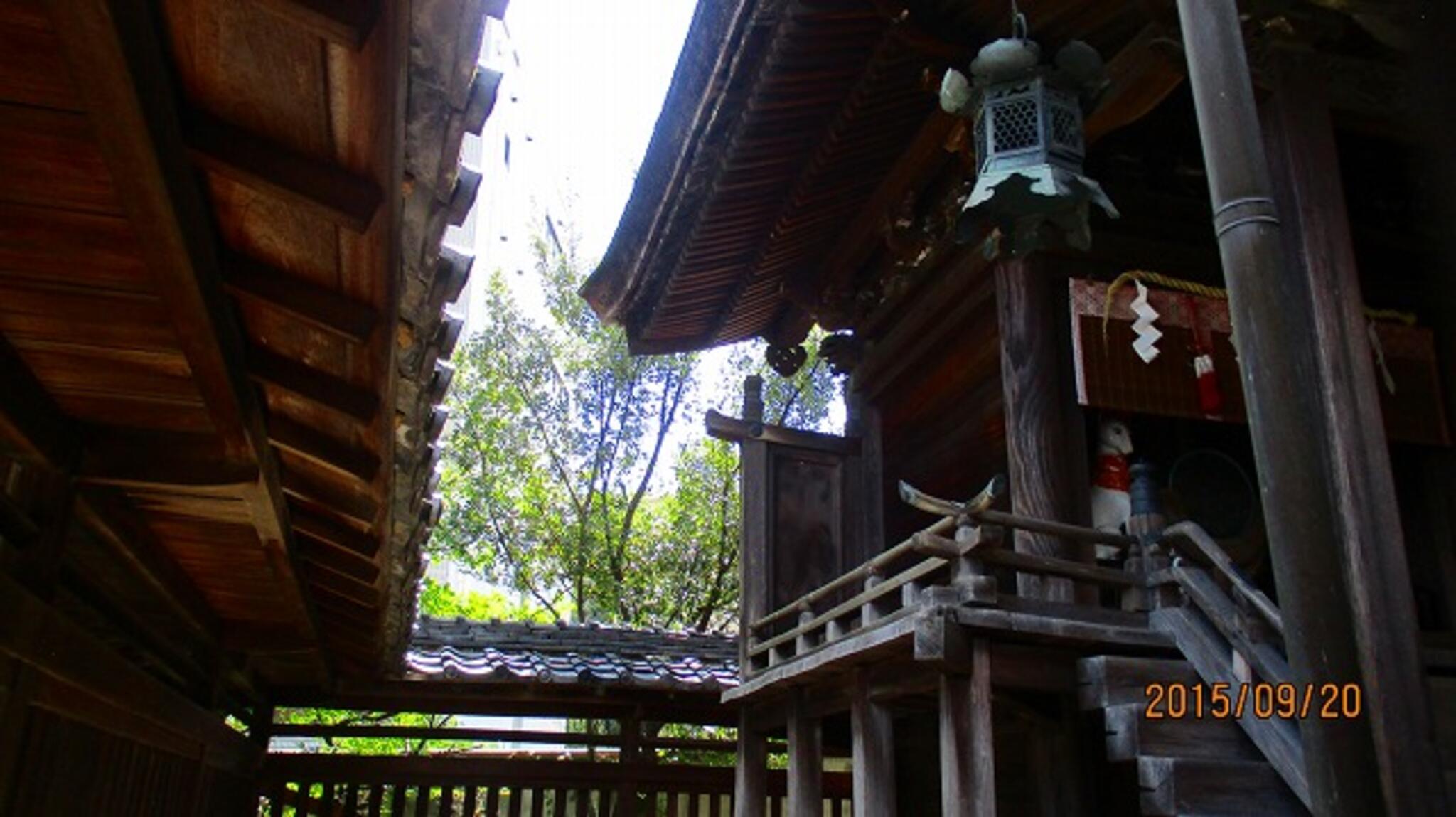 源九郎稲荷神社の代表写真1