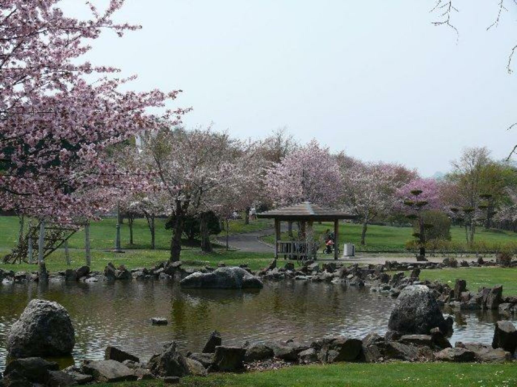 さらんべ公園の代表写真2