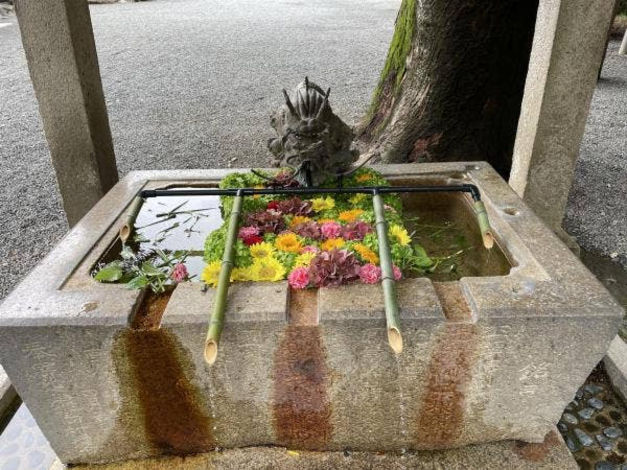 胡蝶庵 あづみ野本店の代表写真3