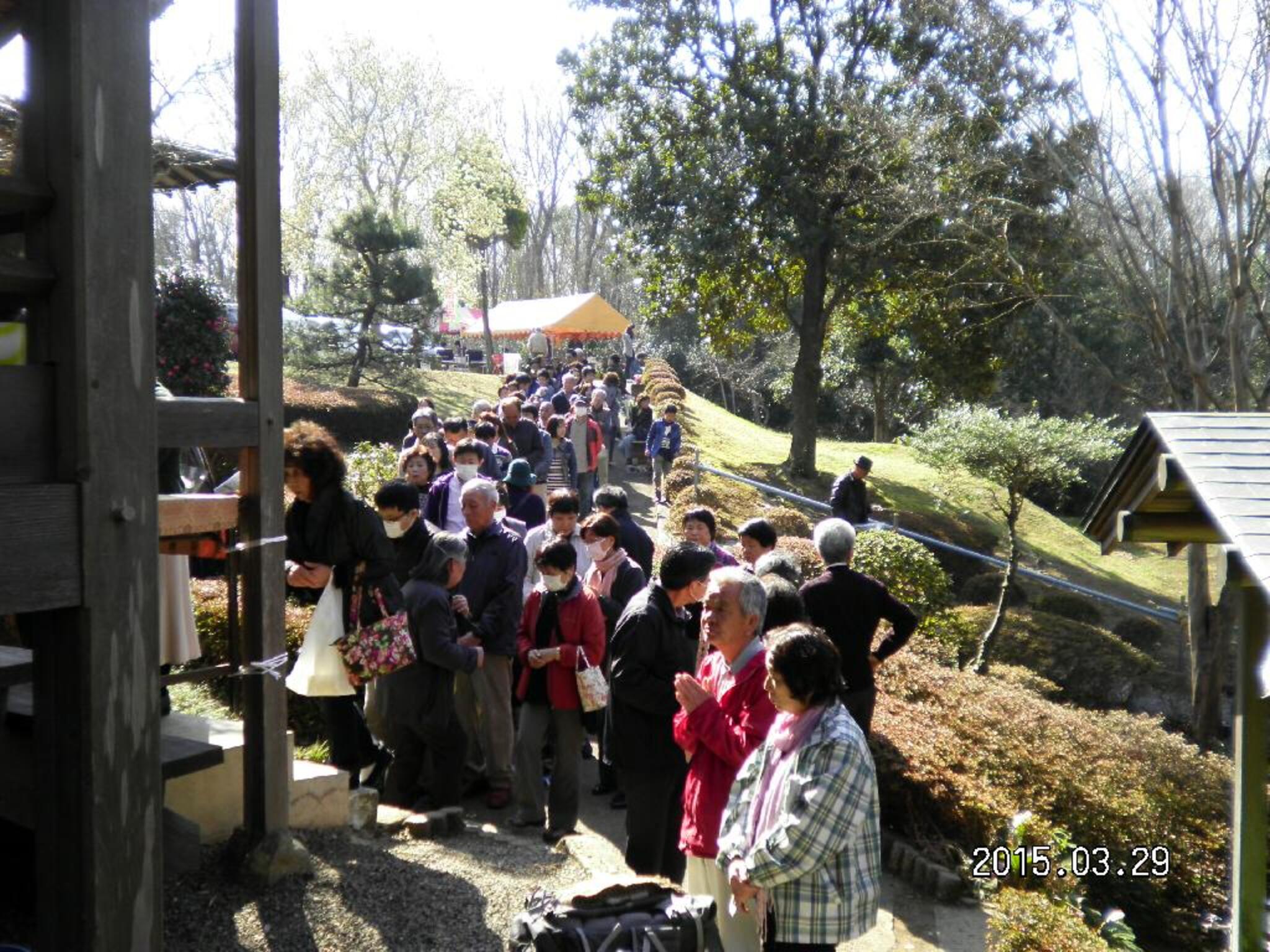 ペット 霊園 慈 苑 人気