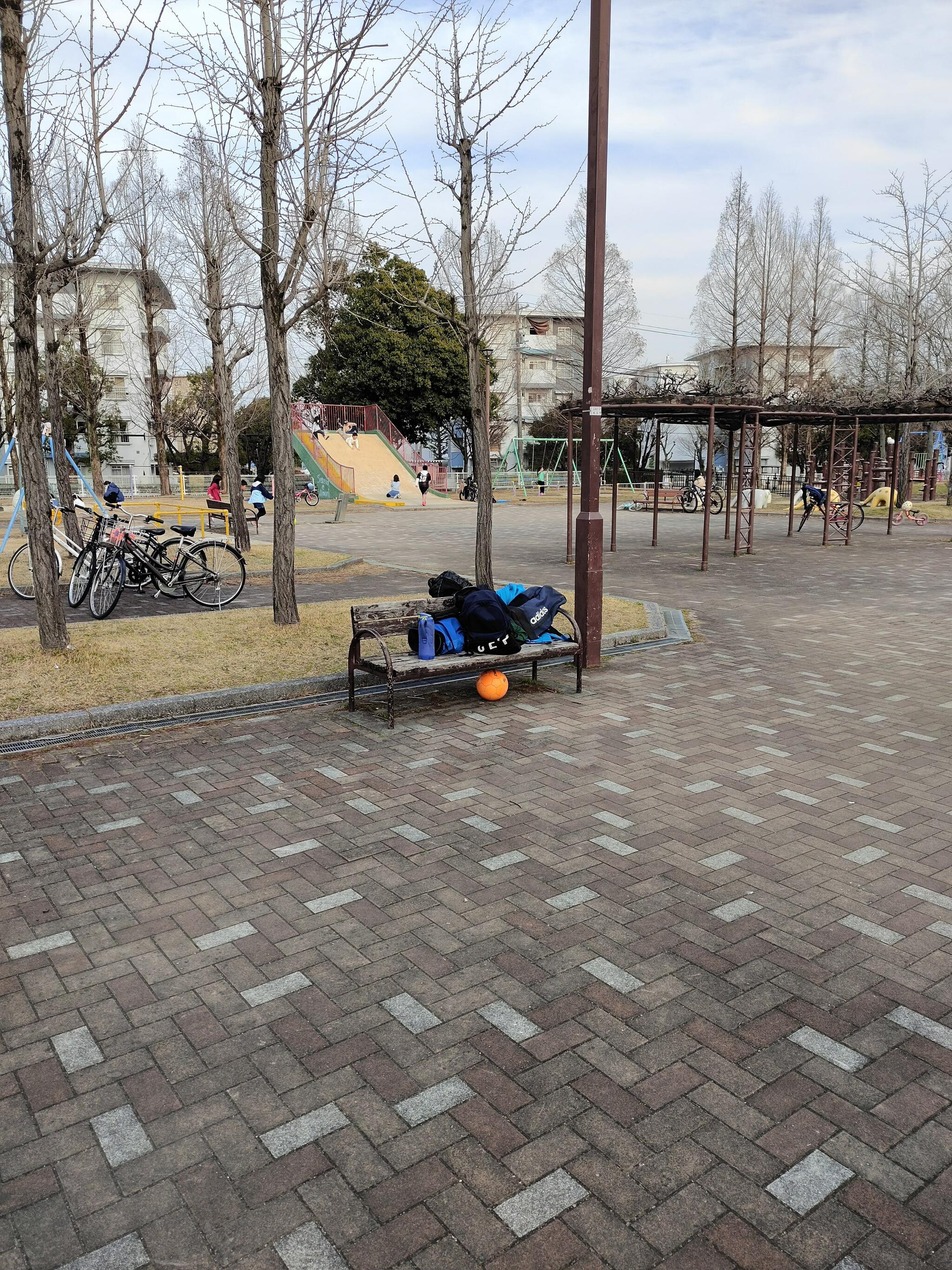 昭和6号公園の代表写真8