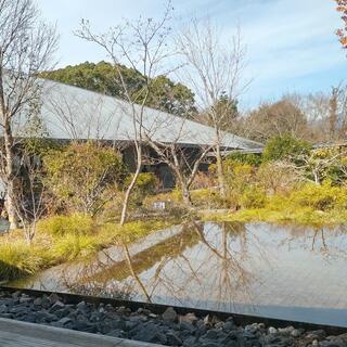 高知県立牧野植物園の写真14