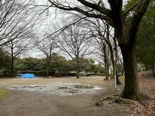あけぼの公園のクチコミ写真4