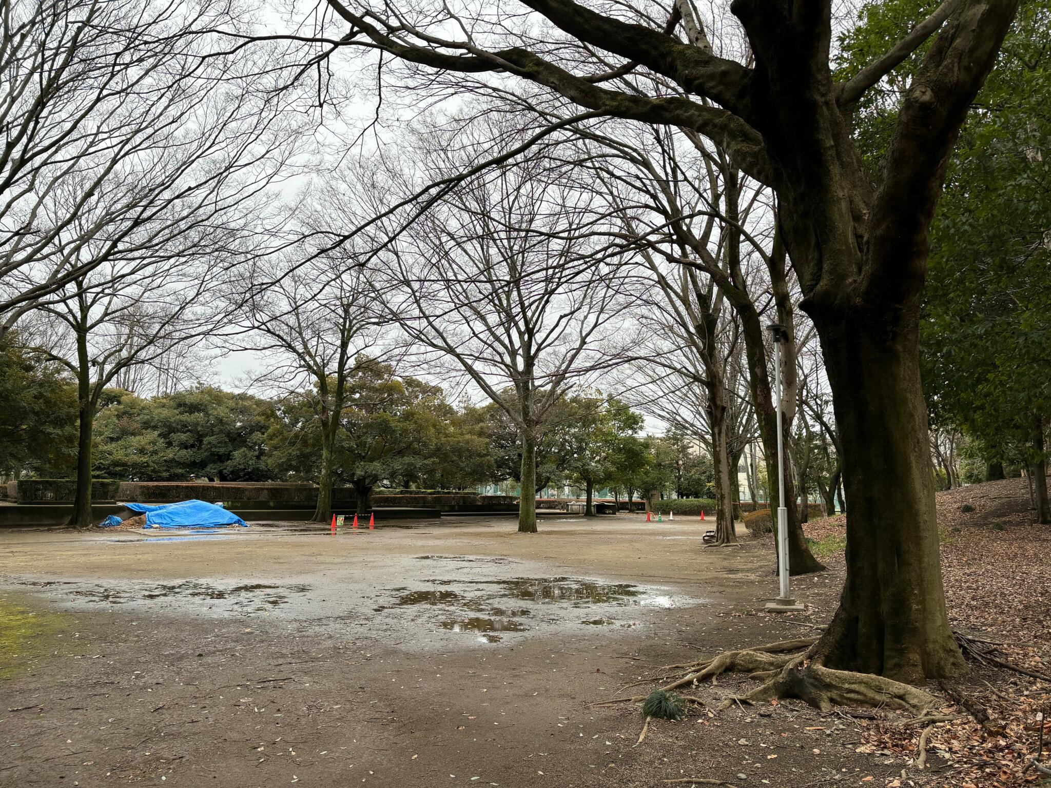 あけぼの公園の代表写真6