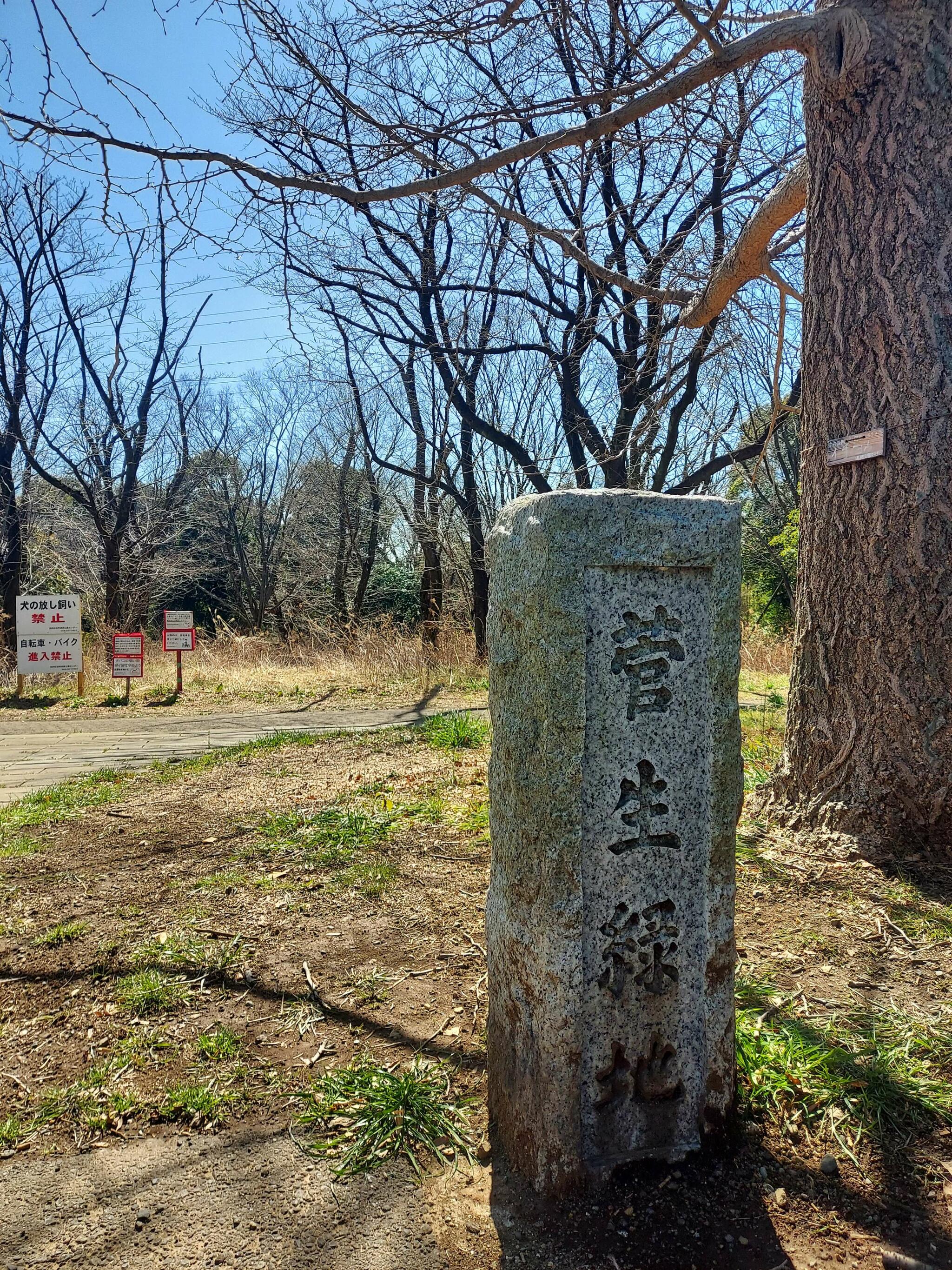 菅生緑地の代表写真2