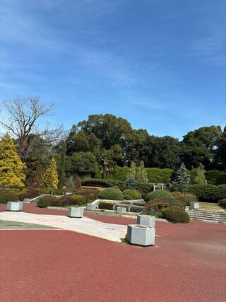 京都府立植物園のクチコミ写真7