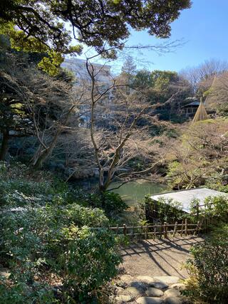 池田山公園のクチコミ写真2