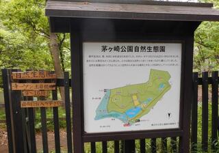 茅ヶ崎公園のクチコミ写真1