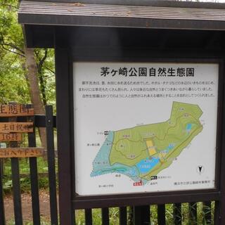 茅ヶ崎公園の写真12
