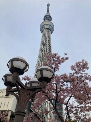 東京スカイツリーのクチコミ写真2