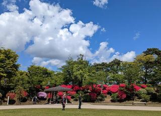 千秋公園のクチコミ写真1