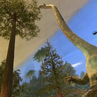 福井県立恐竜博物館の写真22