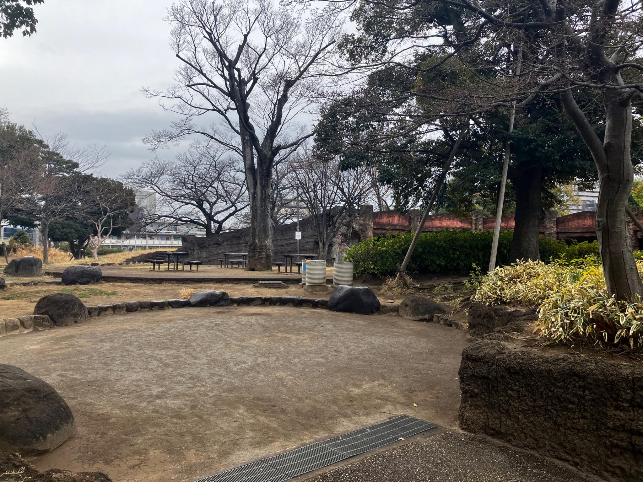 大森貝塚遺跡庭園の代表写真9