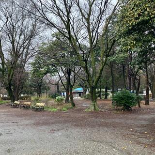 石神井公園の写真16