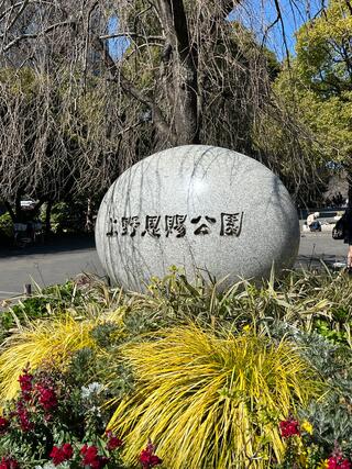 上野恩賜公園のクチコミ写真1