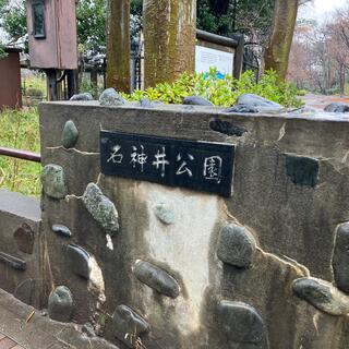 石神井公園の写真15