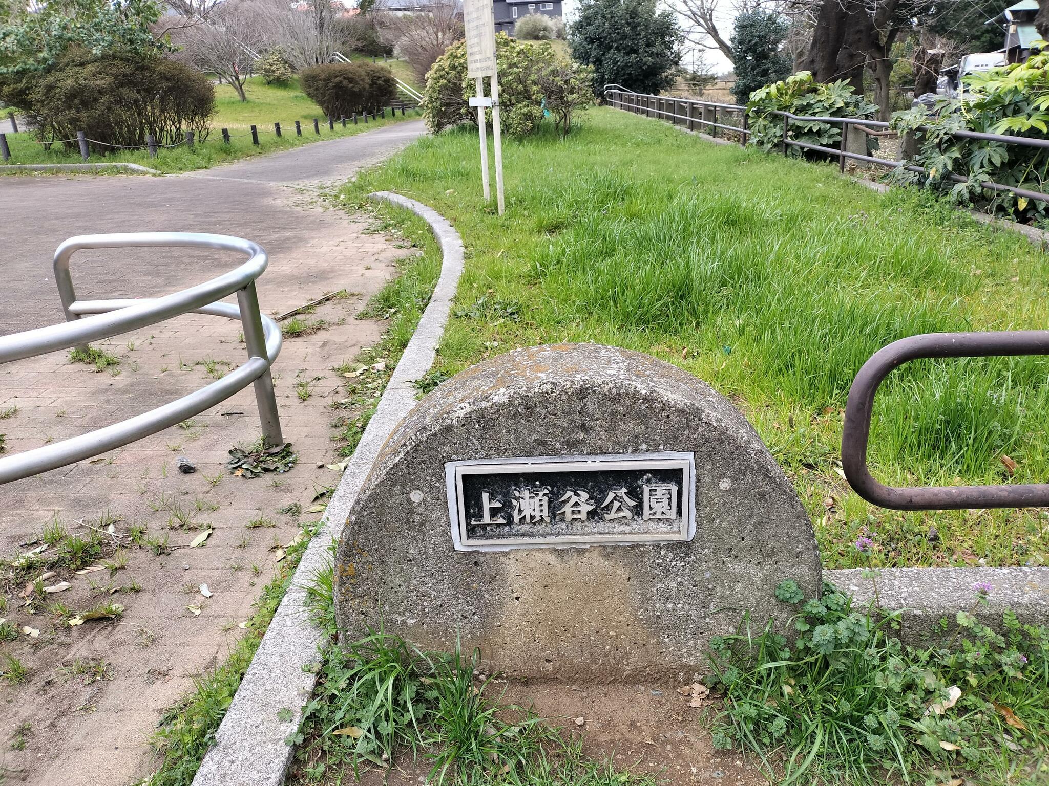 上瀬谷公園の代表写真3