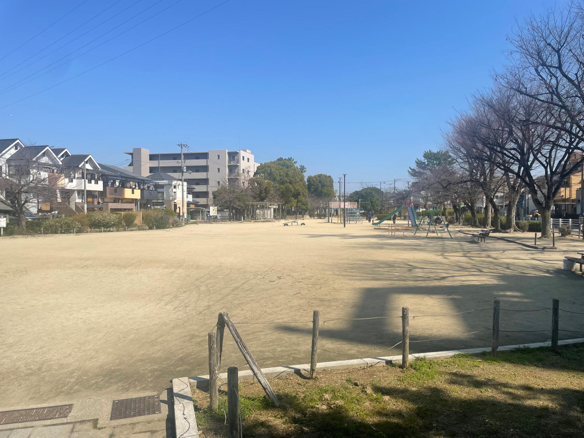 若松公園の代表写真8