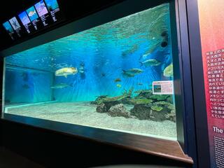 新潟市水族館 マリンピア日本海のクチコミ写真2
