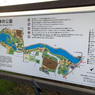 石神井公園の写真14