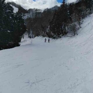GALA湯沢スキー場の写真12