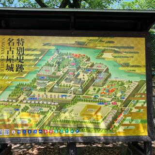 名古屋城の写真16