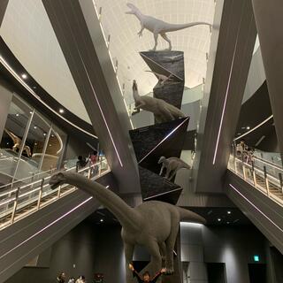 福井県立恐竜博物館の写真17