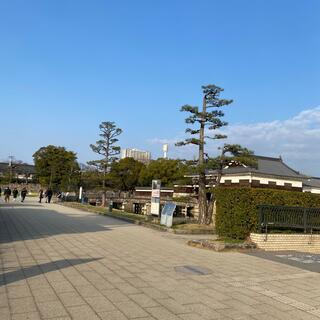 広島城の写真15