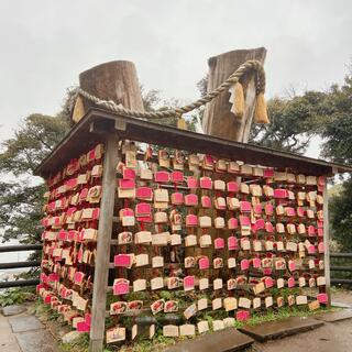 江島神社の写真27