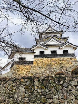 彦根城のクチコミ写真3