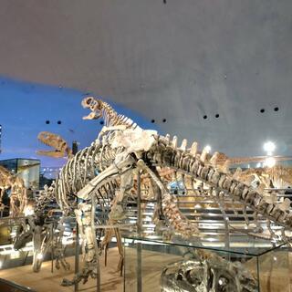 福井県立恐竜博物館の写真21