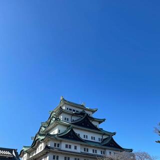 名古屋城の写真18