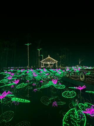 美らヤシパークオキナワ・東南植物楽園のクチコミ写真2
