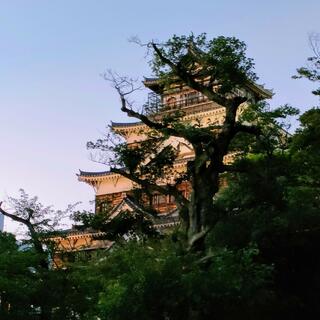 広島城の写真14