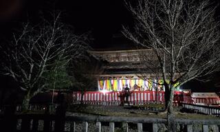 金峯山寺蔵王堂のクチコミ写真3