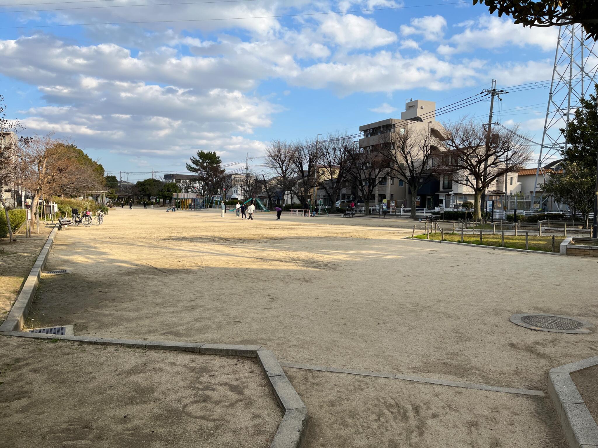 若松公園の代表写真5