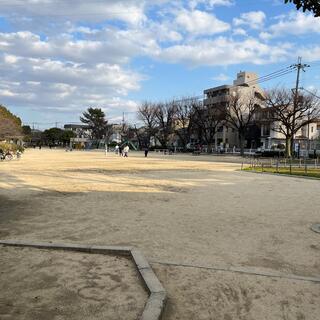 若松公園の写真5