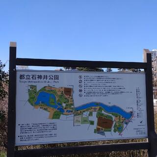 石神井公園の写真19