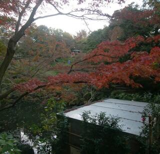 池田山公園のクチコミ写真1