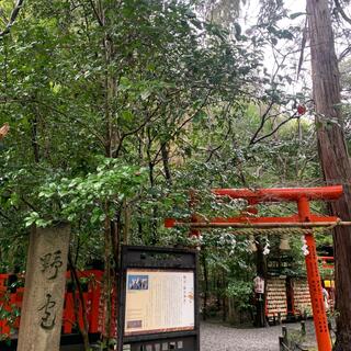 野宮神社の写真12