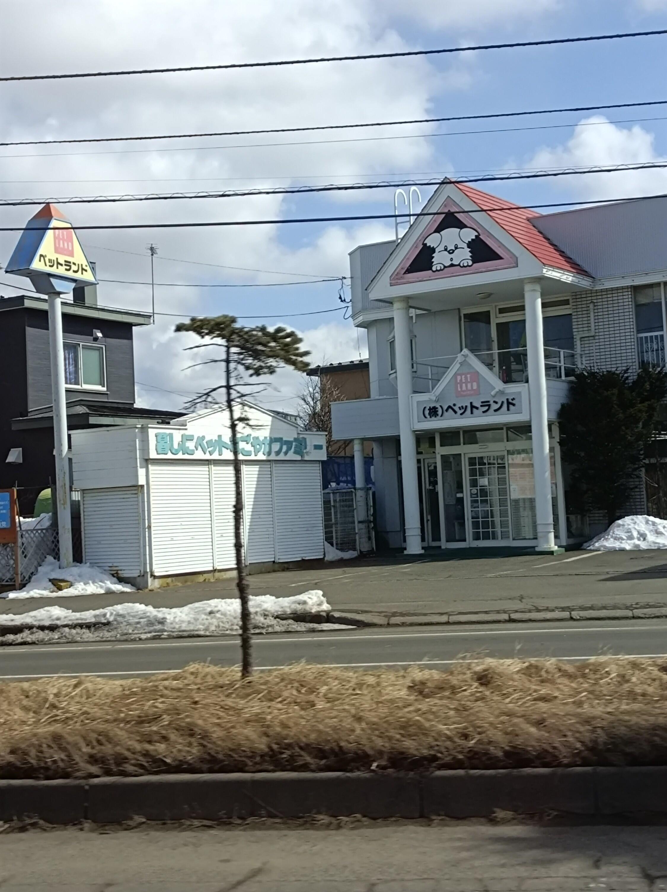 ペット ランド 釧路 本店 人気