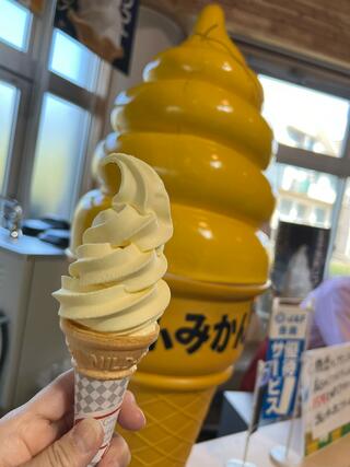 道の駅 桜島 火の島めぐみ館のクチコミ写真1