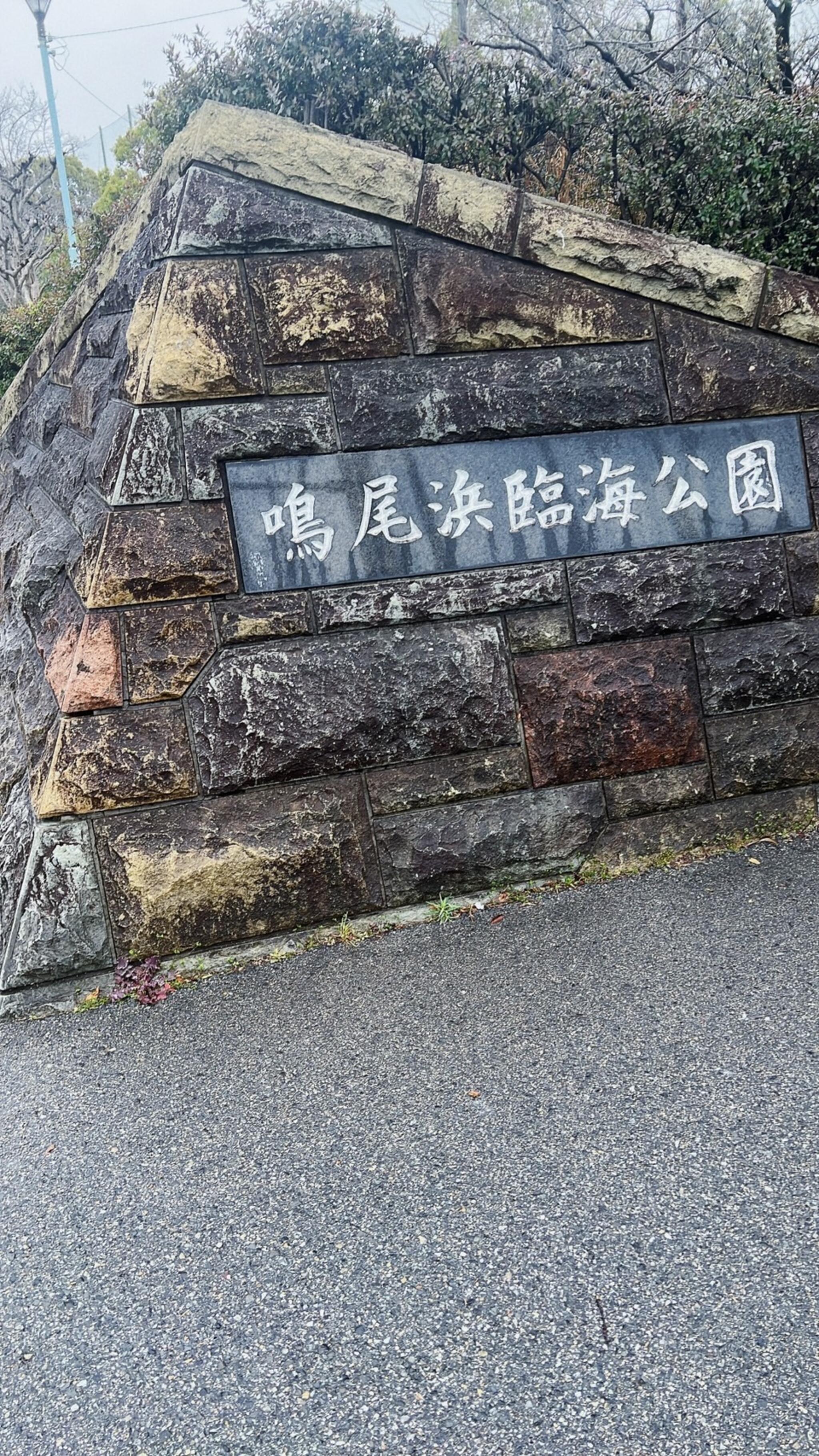 鳴尾浜公園の代表写真6