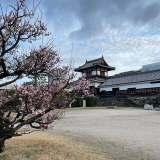 広島城の写真20
