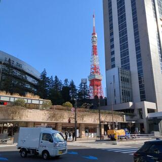 東京タワーの写真21