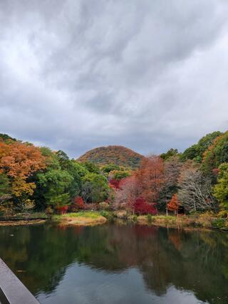 兵庫県立 甲山森林公園のクチコミ写真1