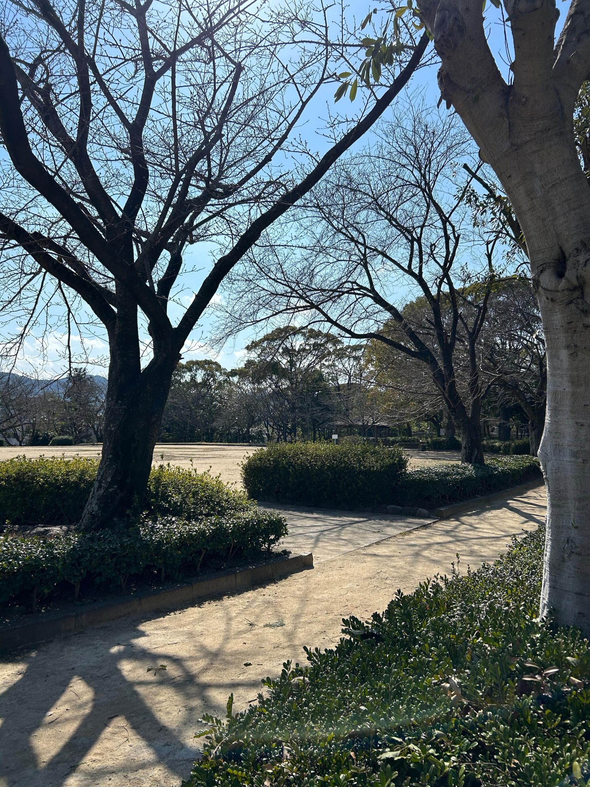 二日市公園の代表写真2