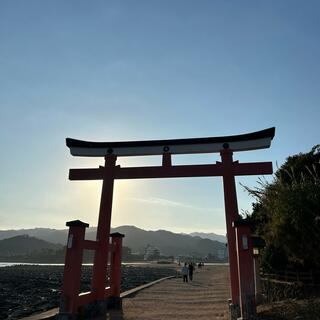 青島神社の写真16