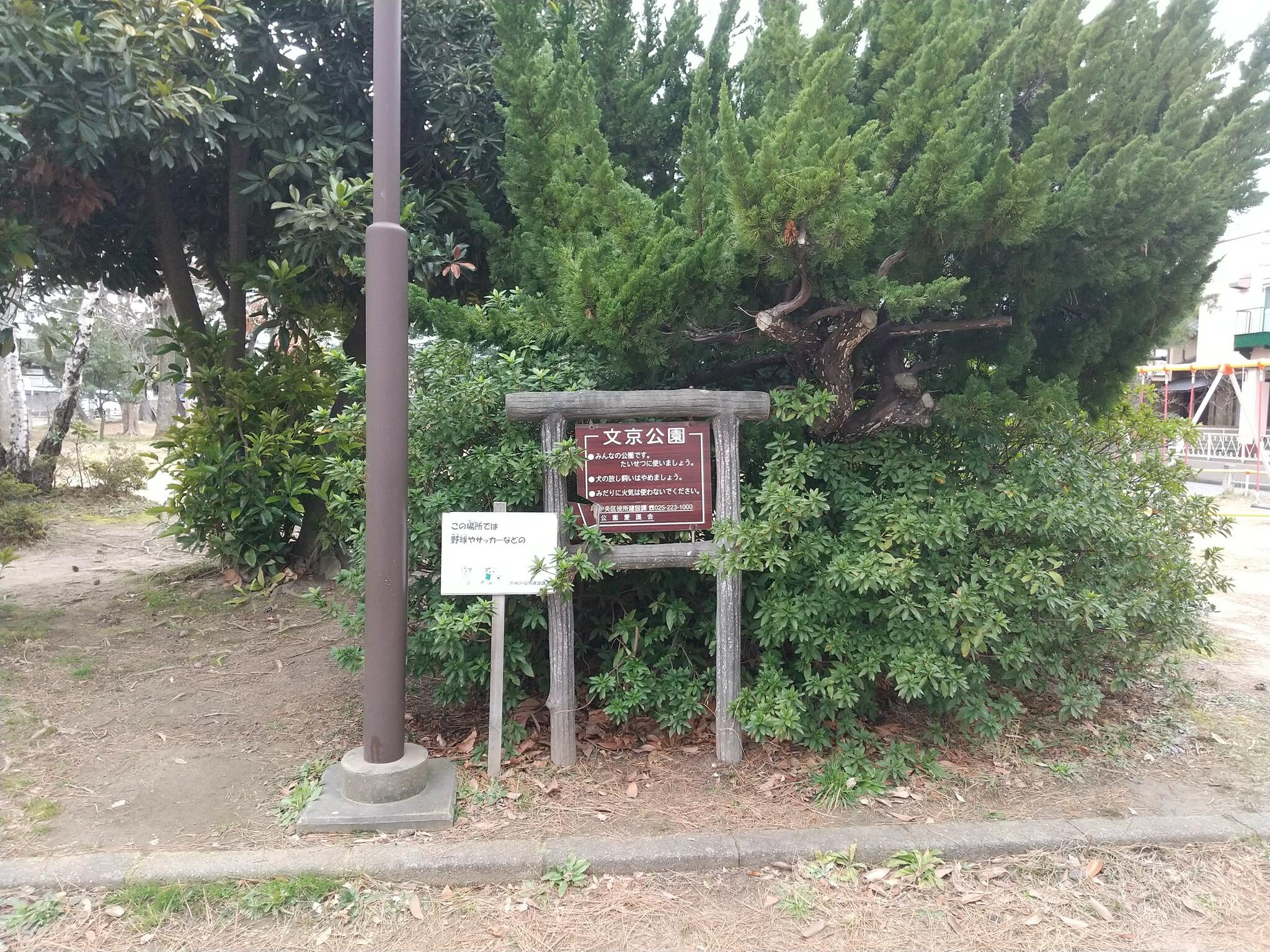 文京公園(新潟市中央区)の代表写真4